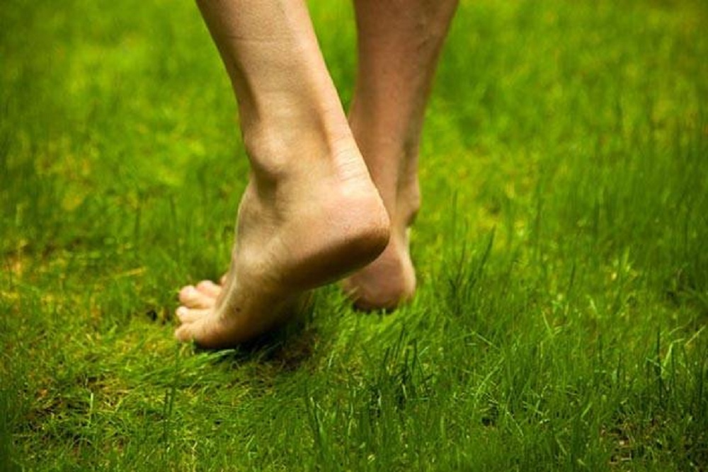 सुबह घास में नंगे पाँव चलने के ये है फायदे, पढ़िए पूरी खबर : HEALTH TIPS